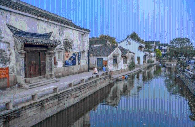 小仓鼠吃瓜子